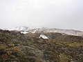 IMG_0504