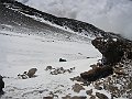 IMG_0518