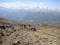 IMG_0531