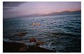 swim_in_red_sea