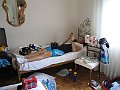 295_9545lll