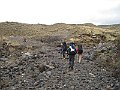 IMG_1953
