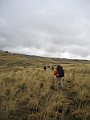 IMG_1955