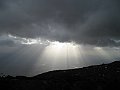 IMG_2007