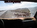 IMG_2045