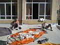 IMG_2106