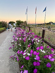 IMG_3847