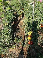 IMG_3859