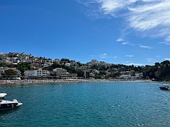 IMG_3872