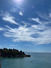 IMG_3875