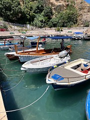 IMG_3932
