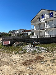 IMG_3981