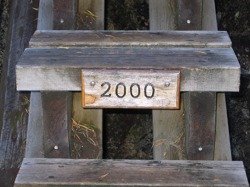 310_1011.JPG