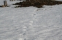 IMG_2577