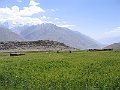 261_6191