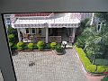 IMG_8103