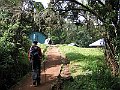 IMG_8145