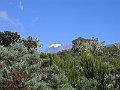 IMG_8191