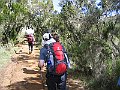 IMG_8198