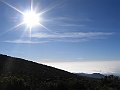 IMG_8245