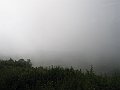 287_8718