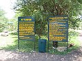 IMG_8390