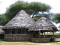 IMG_8411