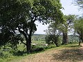 IMG_8413
