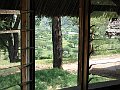 IMG_8417