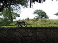 IMG_8431