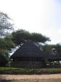 IMG_8440
