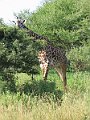 IMG_8500