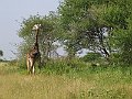 IMG_8502