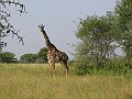 IMG_8503