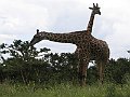 IMG_8514