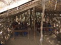 IMG_8535