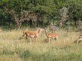 IMG_8552