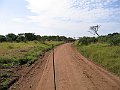 IMG_8556