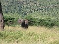 IMG_8561