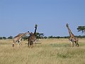 IMG_8564