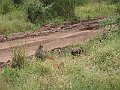 IMG_8586