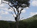 IMG_8588