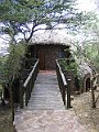 IMG_8601