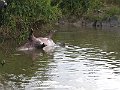 IMG_8615