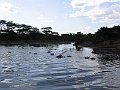 IMG_8618