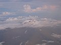 292_9293