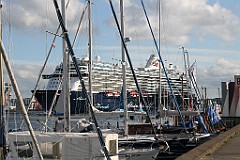 IMG_0303