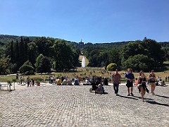 IMG_1391