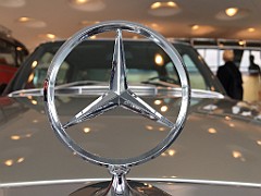IMG_1505