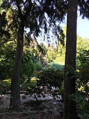 IMG_2454